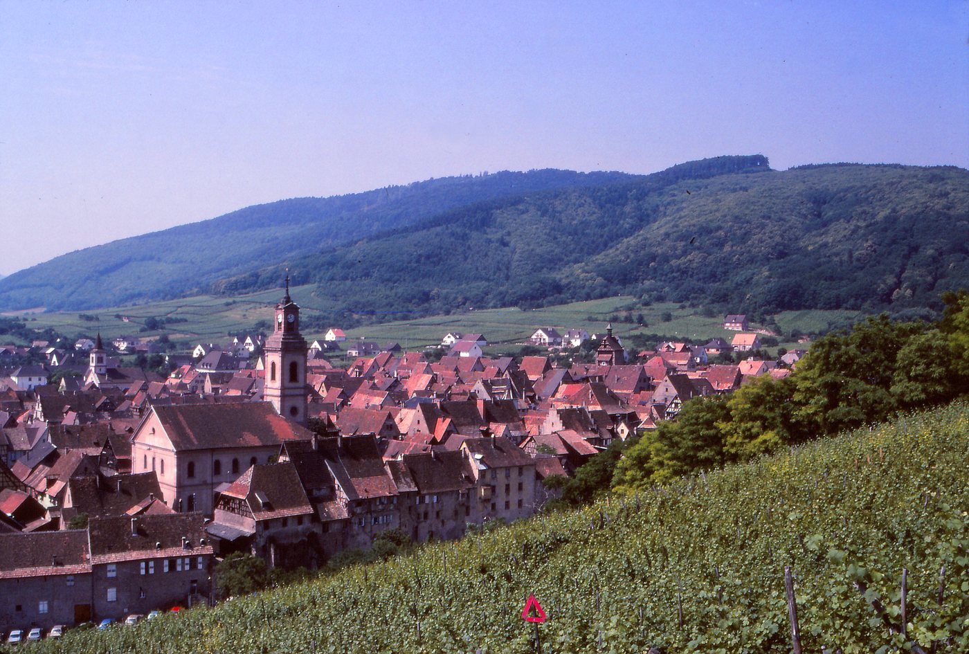 Los alrededores de Colmar