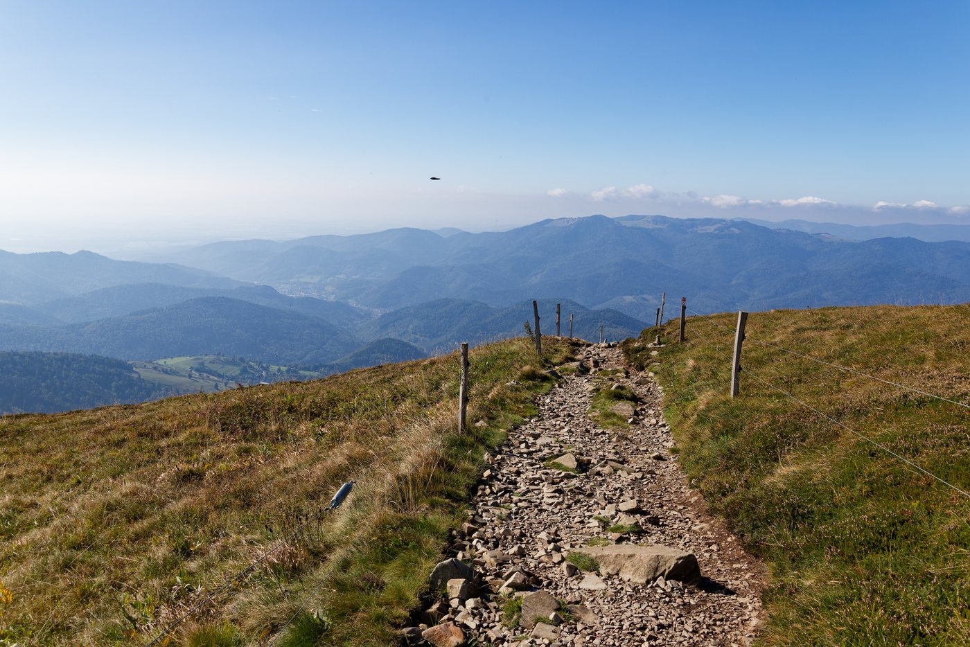 Op de Grand Ballon d'Alsace